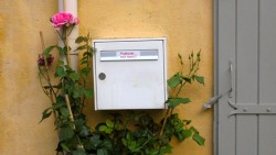 Briefkasten mit Rose an einer Hauswand in Südfrankreich