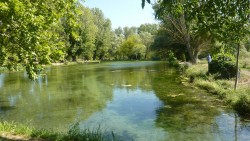 Forellensee an der Sorgue im Vaucluse, Südfrankreich