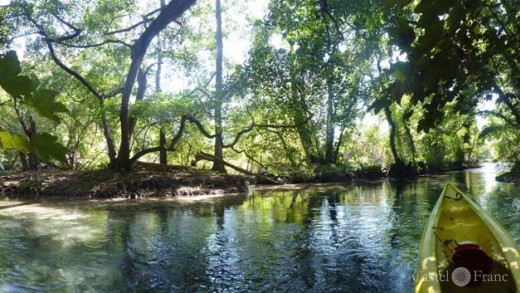 Canoë-Kayak sur la Sorgue, Foto: Canoë-Évasion