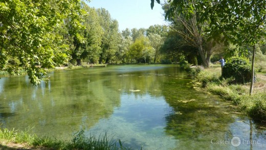 Forellensee an der Sorgue im Vaucluse, Südfrankreich